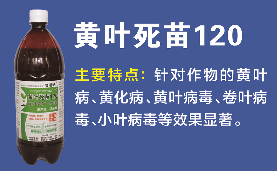 9eac29188fcf44ce98bd777398ce36ae.png