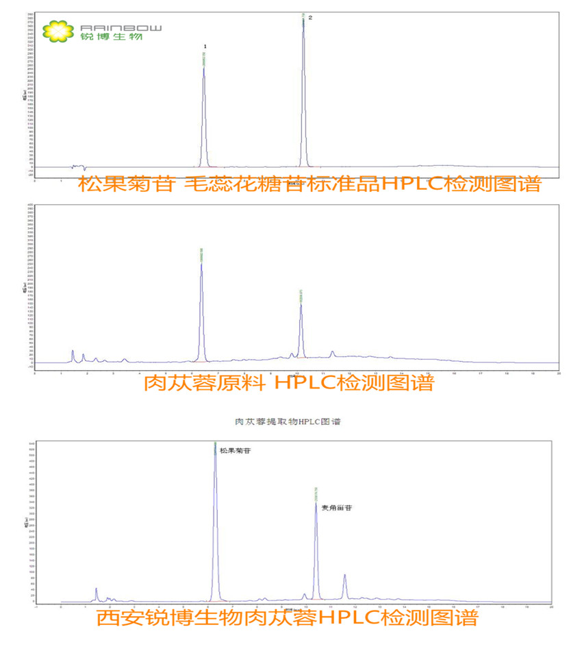 西安锐博美白提高记忆力原料-肉苁蓉提取物-松果菊苷 毛蕊花糖苷 介绍