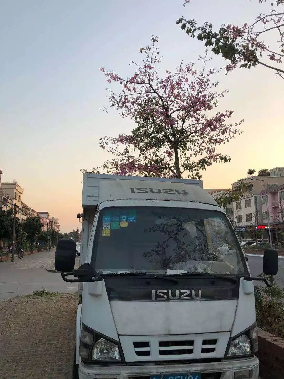 闲置转让:在用五十铃货车一台