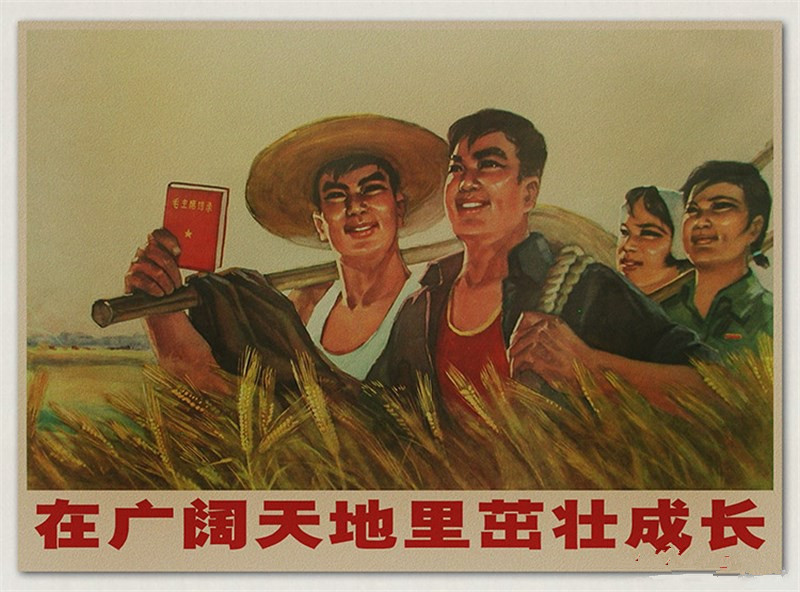 图为60年代宣传画形象,画中女子笑容灿烂,标语是为农业机械化做贡献.