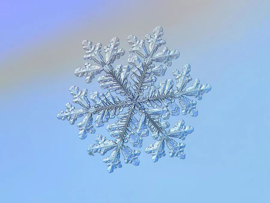 他用8个冬天拍下雪花的样子每一朵都如此惊艳