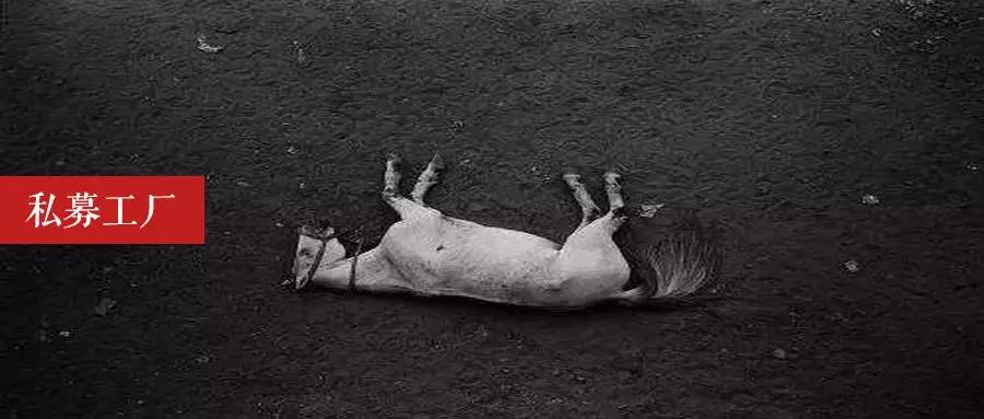 13亿巨雷,百亿高毅傻眼!