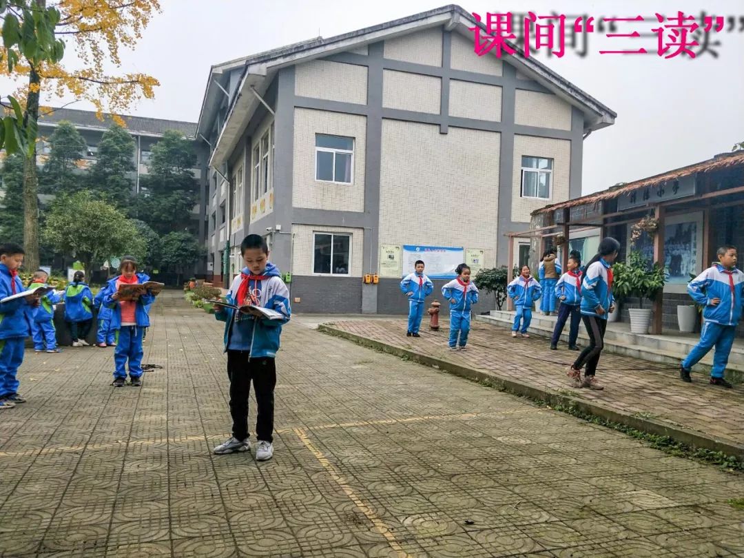 你的学校上榜了吗大邑校园风采评比活动火热进行中小学组