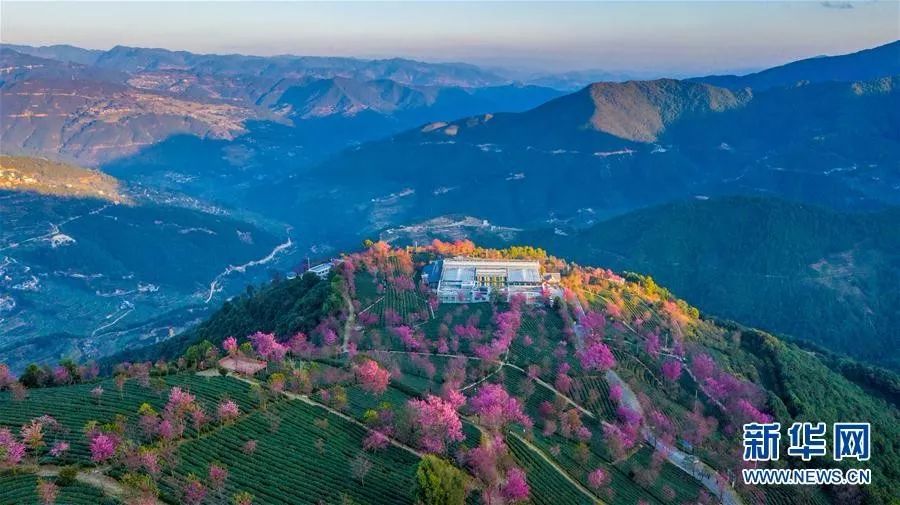 这是夕阳时分的云南南涧彝族自治县无量山樱花谷一景.