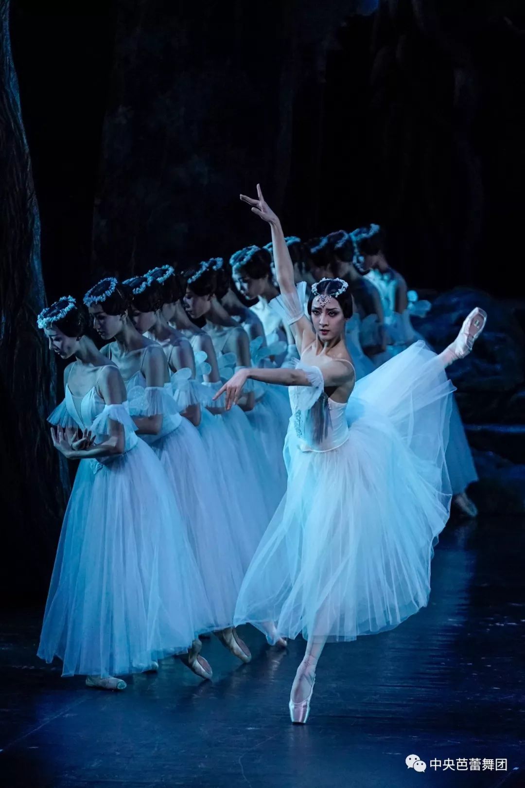 中央芭蕾舞团首席主演王启敏·舞台演艺20周年纪念演出，仙女真美!