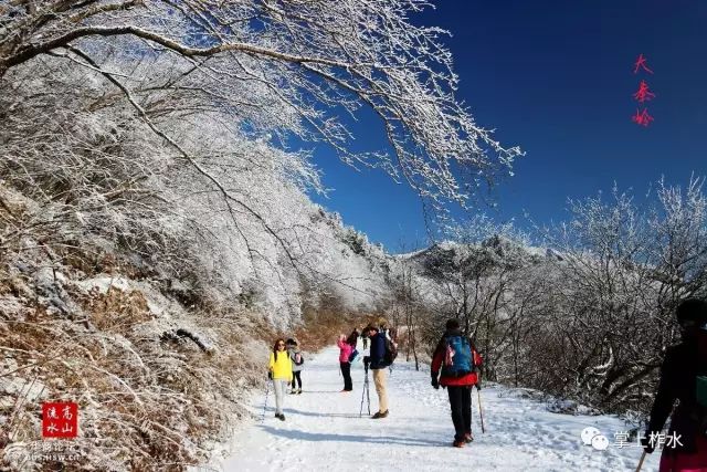 冬天里的柞水,说不尽的风趣