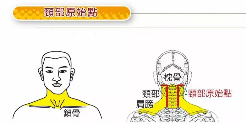 原始点常见疾病问答大全张医师二十问答