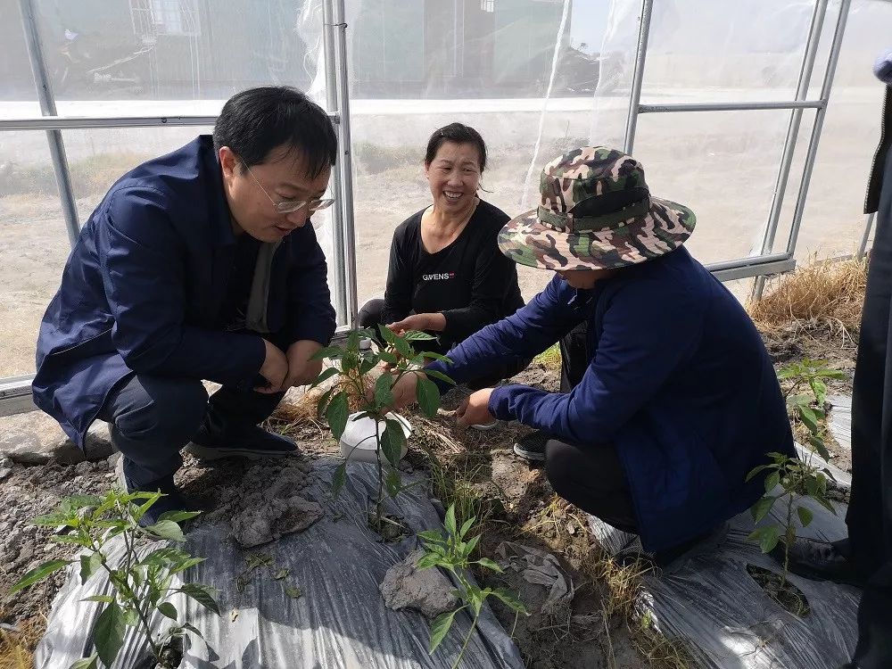 【领导调研】市委农工委书记,市农业农村局局长李志军调研海淀区组培