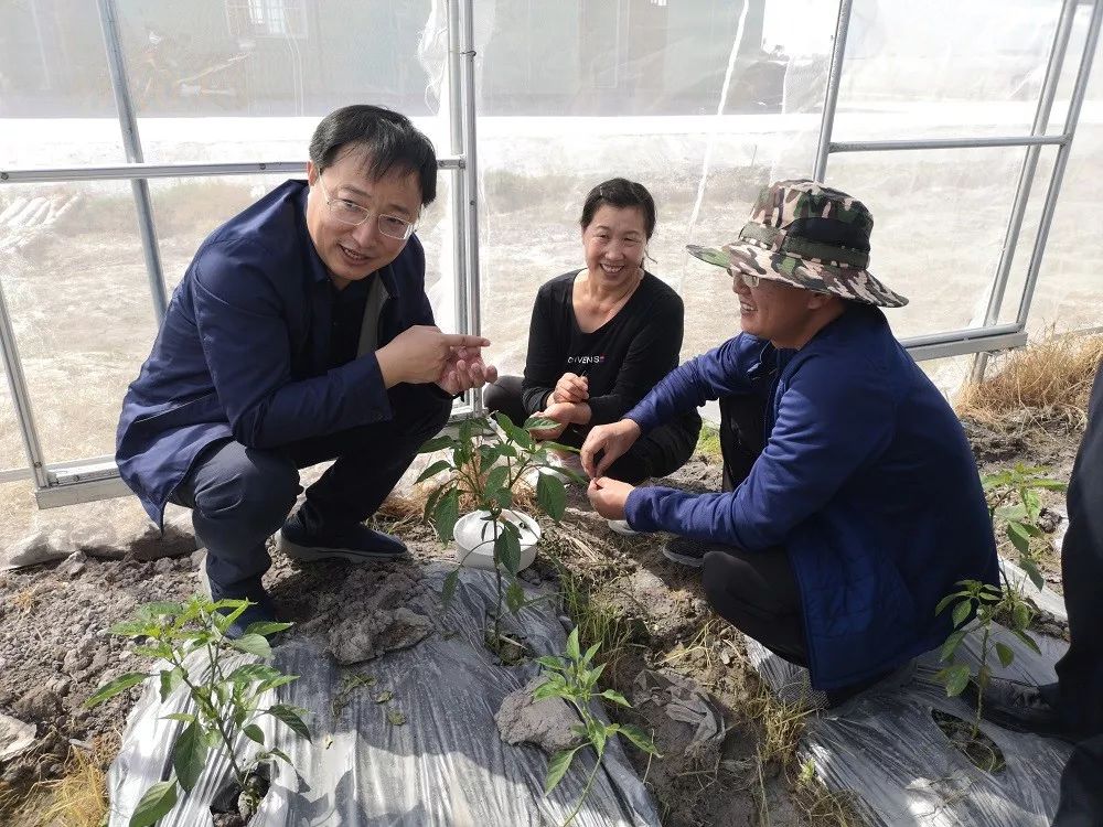 【领导调研】市委农工委书记,市农业农村局局长李志军调研海淀区组培