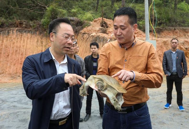 肇庆高新区这样帮扶怀集诗洞镇.