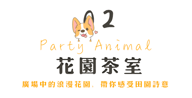 汪～这场治愈人心的『动物派对』明天开趴!铲屎官们ready!