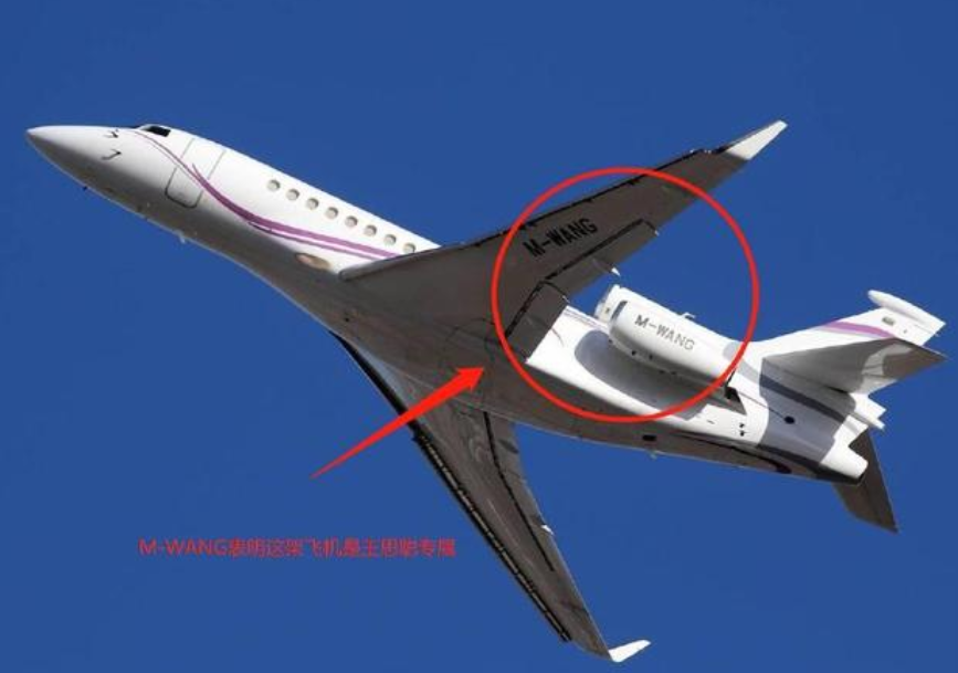 王思聪无视法院禁令去日本玩!因不让坐民航,只