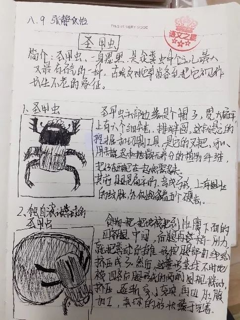 孙嘉悦(八年级1班赵书(八年级4班王思程)螳螂(八年级1班潘泳铄)蟋蟀