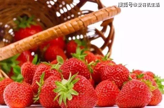 如何正确洗草莓 095499ab969c463cacba0dcd63b2d21b.jpeg