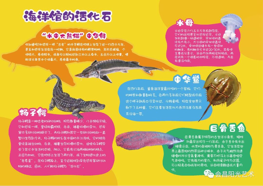 【2·海洋馆的活化石"水中大熊猫"中华鲟~水母~扬子鳄~中华鲎~巨
