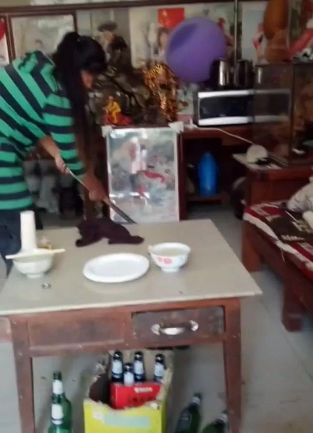 怎么收拾家里干净利索 191118bff48145b2bbb9817272338130.jpeg