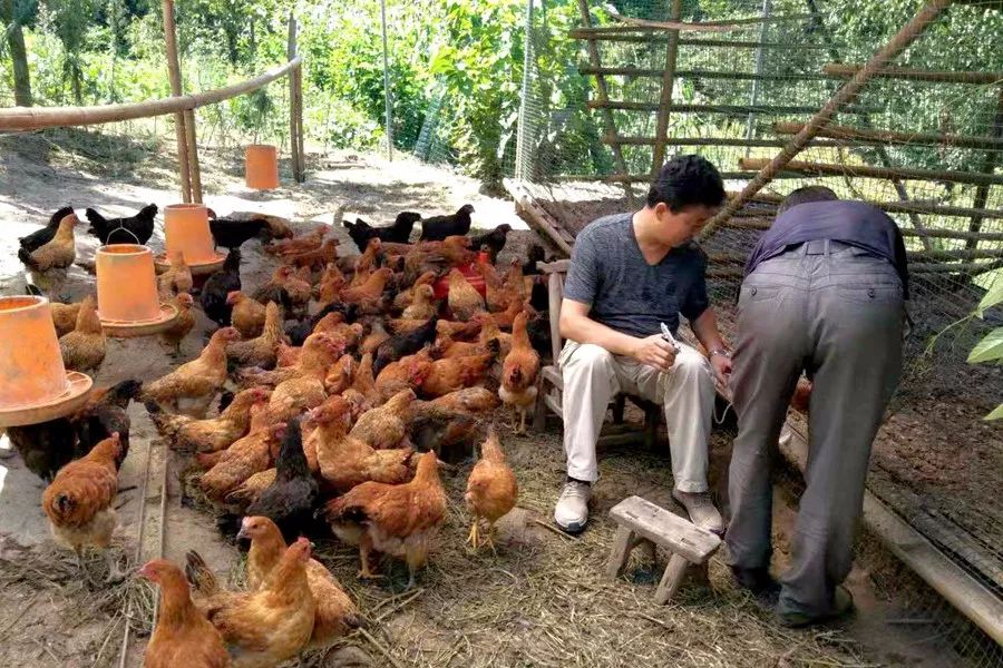 段家河镇人口_人口普查图片(2)