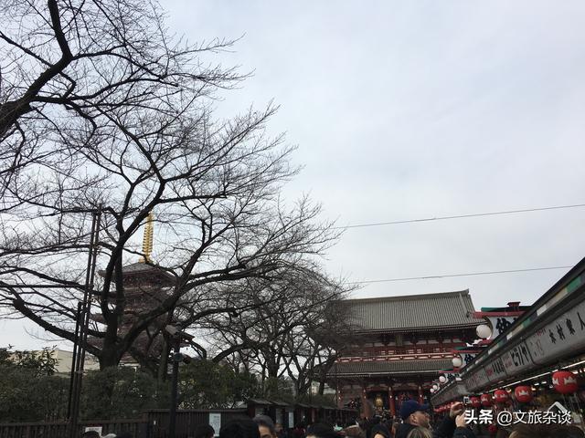 日本东京街头樱花 262fa0fbb3fd4c5caf7967f331c2d3ec.jpeg