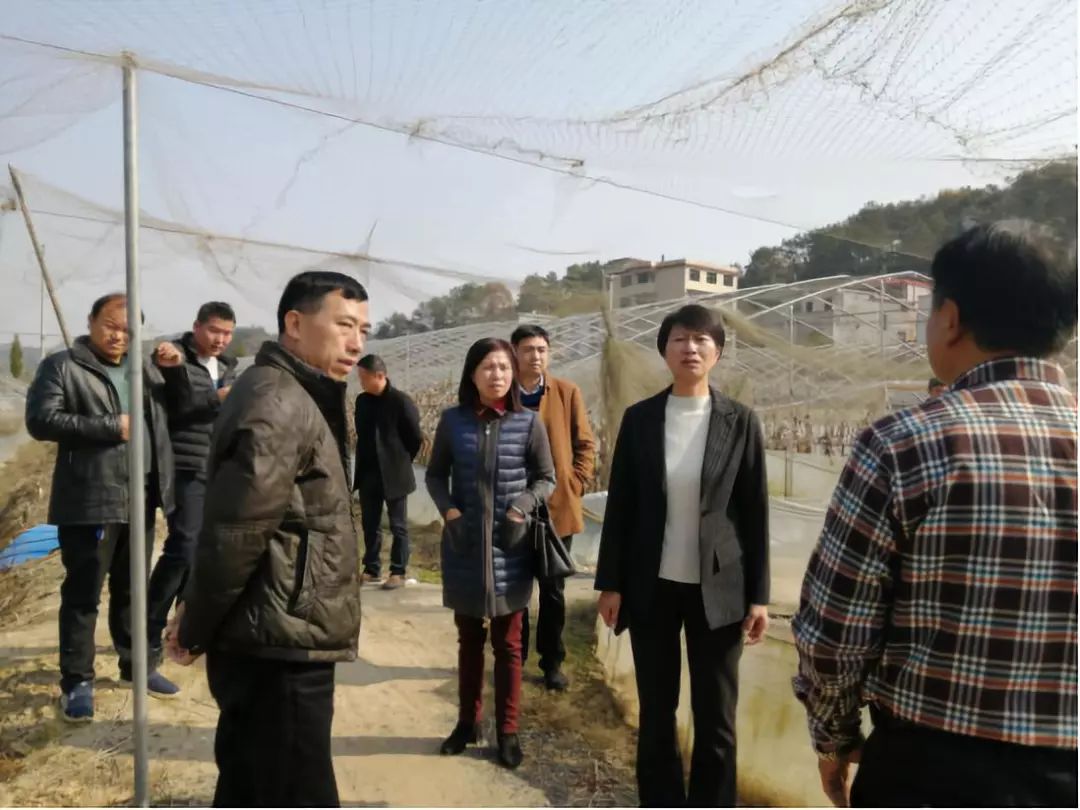 12月11日,衡阳市政协副主席,市工商联主席谢明芳一行深入衡阳县走访