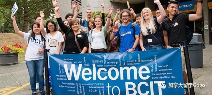 澳洲上学真的轻松吗 3564fcbb38a64fc9b5e60d63a5c54bbf.jpeg