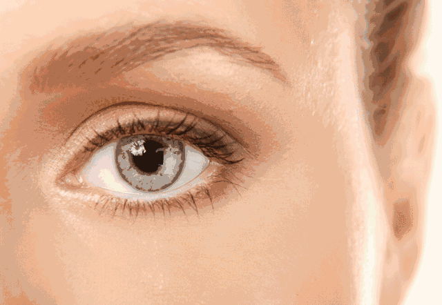 37f8be1e1ef04db1a5e20063940897d8.gif