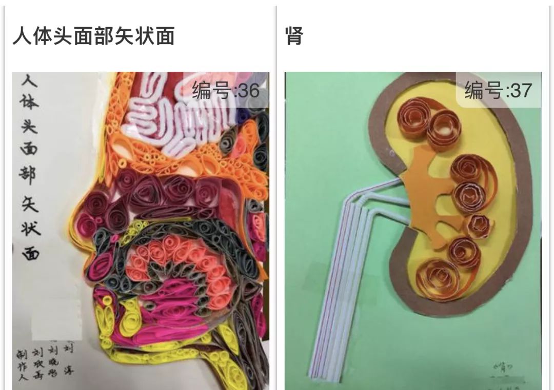 的世界医学生们来说但对于即将走上救死扶伤岗位的一些血淋淋的画面吧