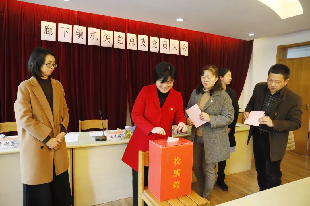 潘利萍同志全票当选廊下镇第十六届党代表