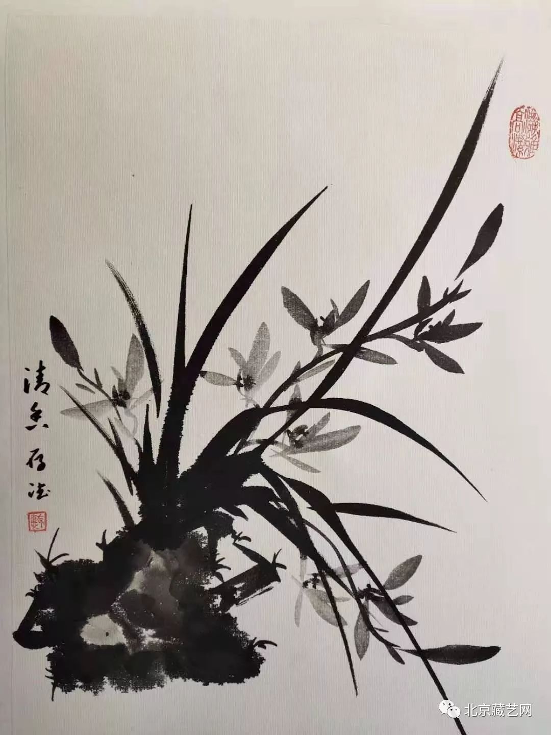 著名画家谢存德兰花作品欣赏