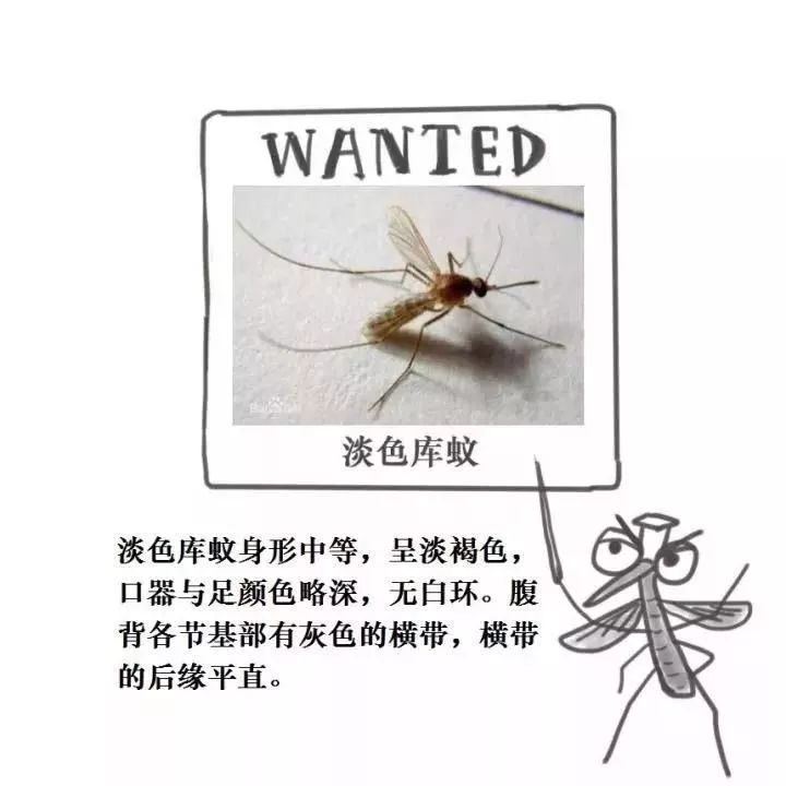 55cd03f8e4f2429f9e2230d7ae128734.jpeg