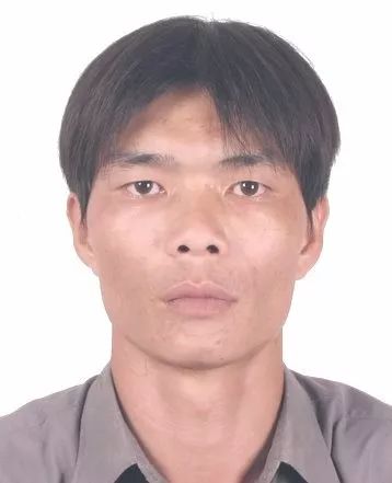 武鸣陆哗人口_武鸣人口姓氏(3)