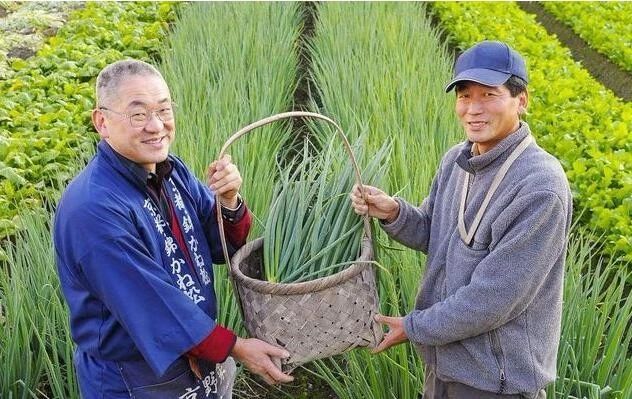 日本农业人口_日本人口