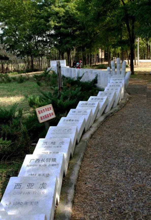 超硬核！養狼20年，這家人把野狼活生生養成了二哈！ 寵物 第30張