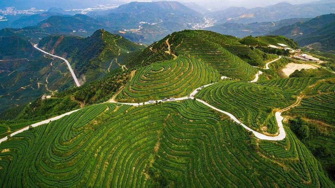 平和人口有多少人口_心态平和图片