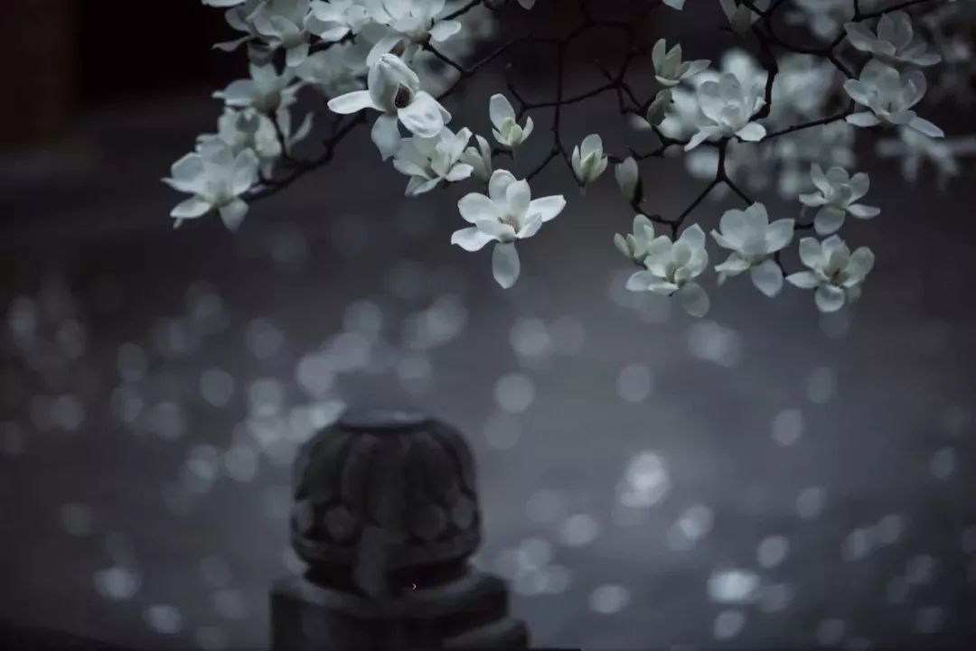 8bf2e5aefd504c0b882385d829cb5a52.jpeg