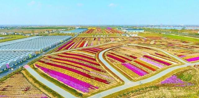 河南农村人均年收入_河南农村(2)
