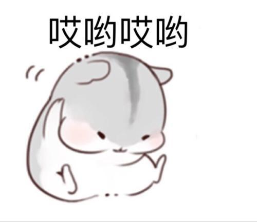 94a6829bf8e544eba563dcd85f11c8dc.jpeg