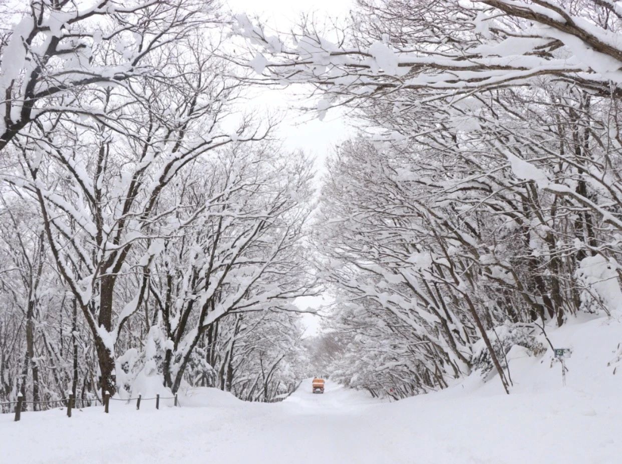 世界最美赏雪胜地 97a2c0ed590546e7b1fa5bc5e97c1993.jpeg