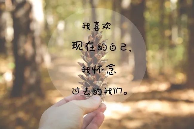 9de68db2d127478581c6e31dc3a485ef.jpeg