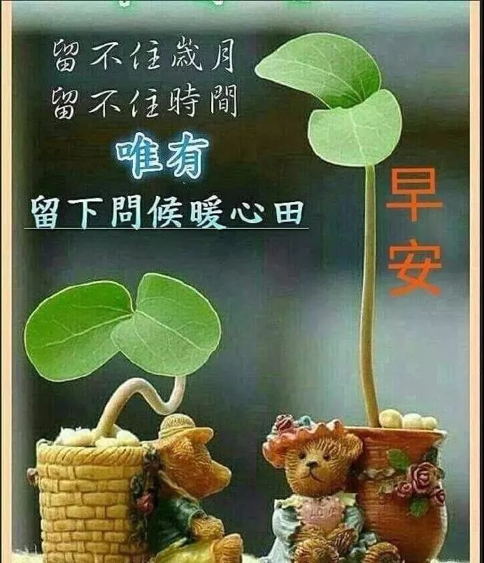 星期五最新漂亮早上好动态美图鲜花带字,早晨好幸福暖