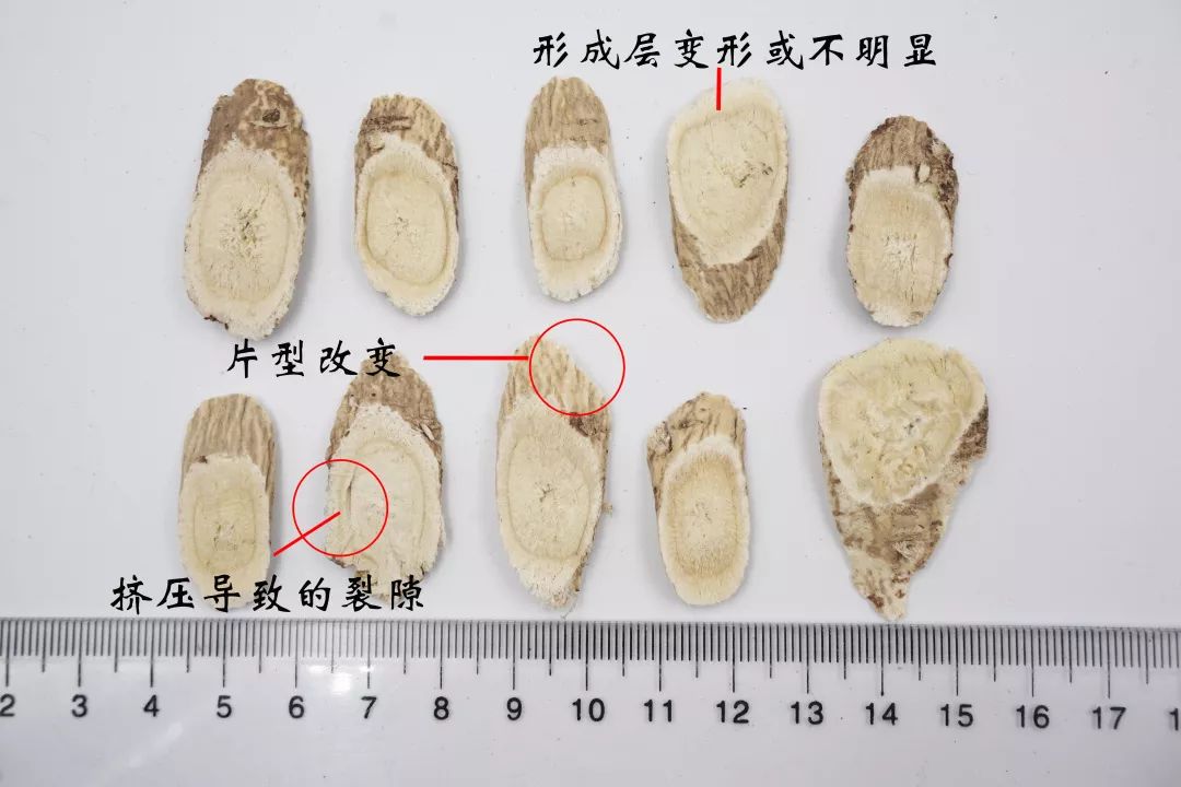 汇群出品中药饮片真伪优劣鉴别图鉴35种中药160张图片