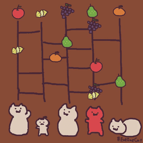 速度保存来自外网超级可爱魔性的猫咪gif表情包来啦