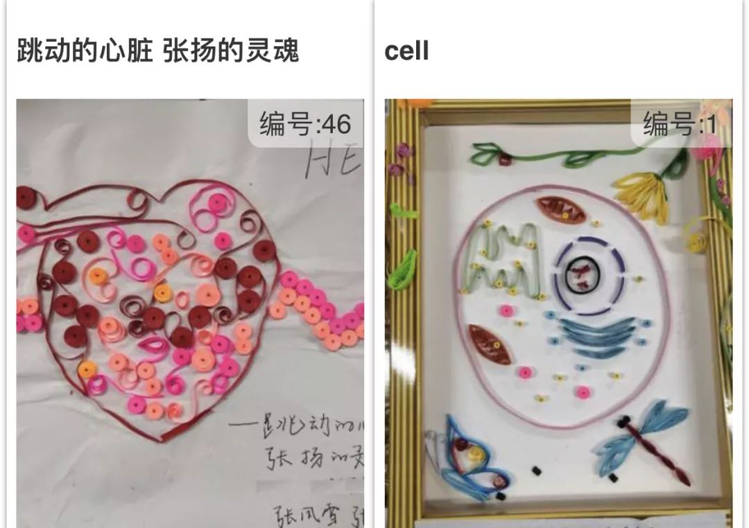 的世界医学生们来说但对于即将走上救死扶伤岗位的一些血淋淋的画面吧