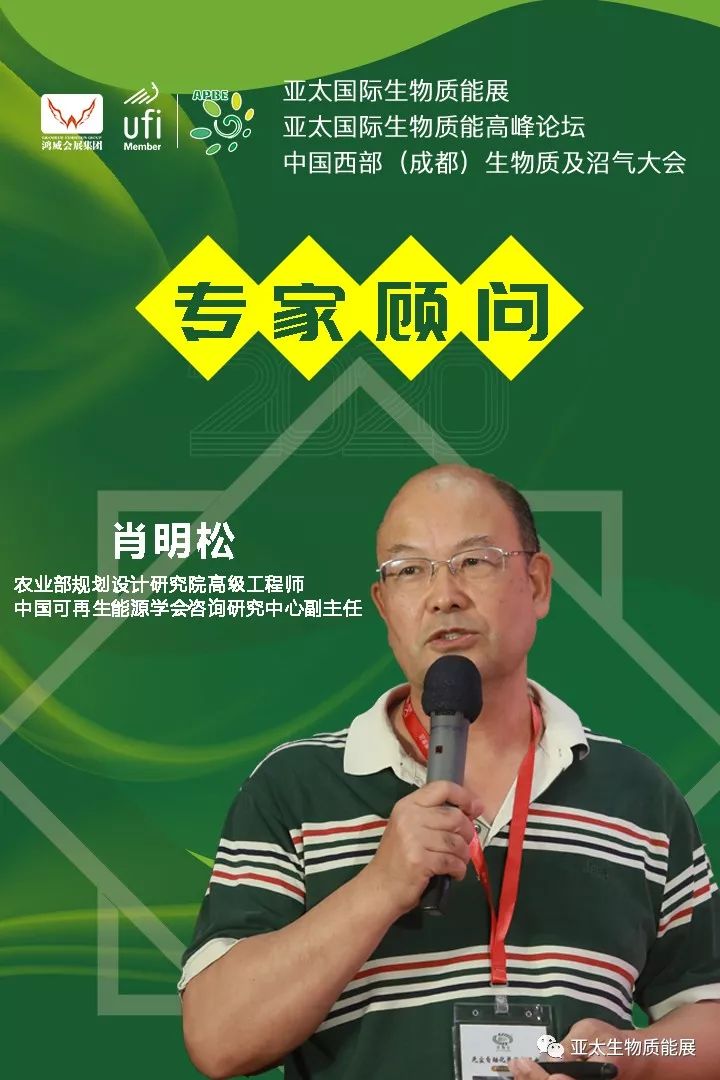 专家顾问 肖明松--中国可再生能源学会咨询研究中心副主任聚享游(图2)