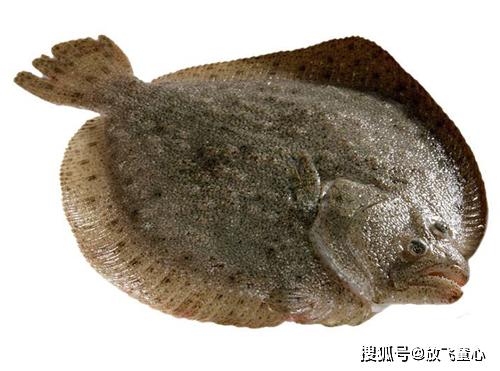 f63fd78f6c18428f882e00176c6af46e.jpeg