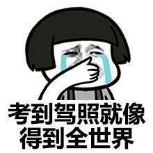 学车的坑到底有多深,学车小王子带你轻松学车!