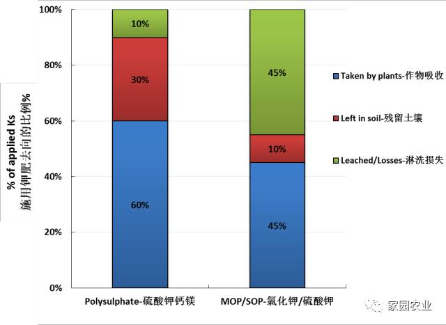 葆力素——独特释放模式