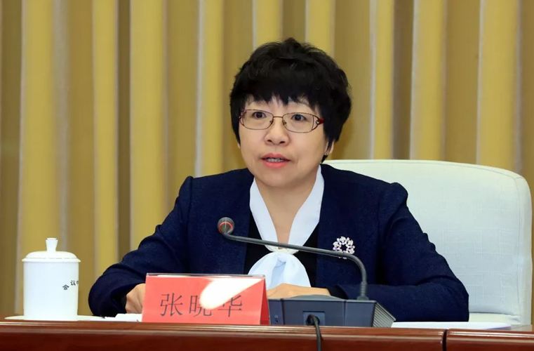 张晓华局长对2019年度全区法治政府建设考评指标及填报工作进行了说明
