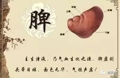 3a8fa3b81e1640838ce3f94ceabeef47.jpeg