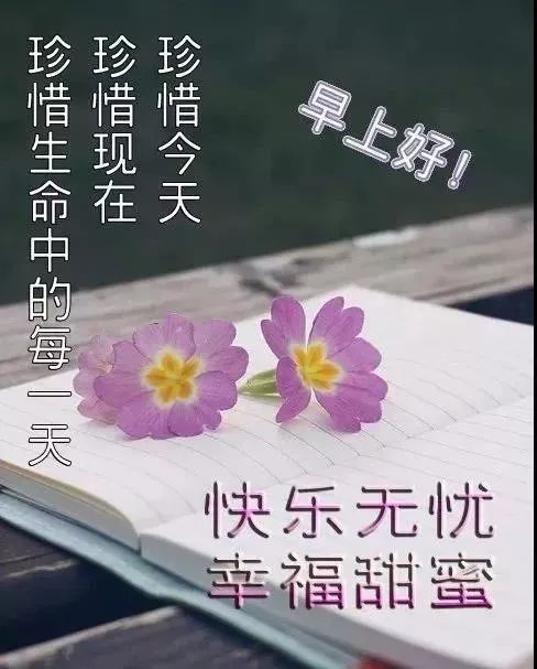 星期六最新漂亮早上好动态美图鲜花带字,早晨好幸福暖