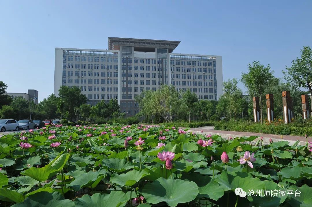 沧州师范学院 你的愿望 我来实现!